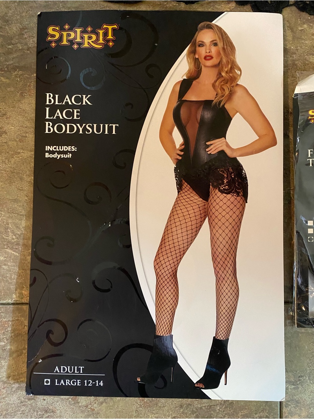 Spirit Black Lace Sheer Panel Bodysuit & Fishnets